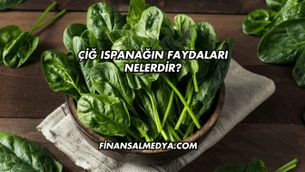 Çiğ Ispanağın Faydaları Nelerdir?