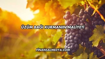 Üzüm Bağı Kurmanın Maliyeti