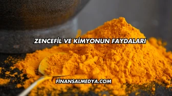 Zencefil ve Kimyonun Faydaları