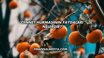 Cennet Hurmasının Faydaları Nelerdir?