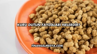 Kuru Dutun Faydaları Nelerdir?