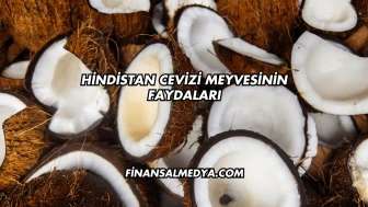 Hindistan Cevizi Meyvesinin Faydaları