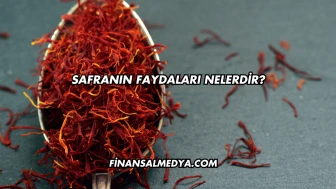 Safranın Faydaları Nelerdir?