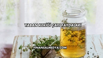 Yaban Kekiği Çayı Faydaları