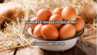 Yumurta İshale İyi Gelir mi?