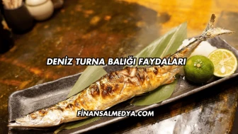 Deniz Turna Balığı Faydaları