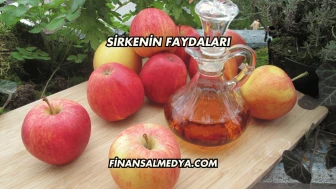 Sirkenin Faydaları