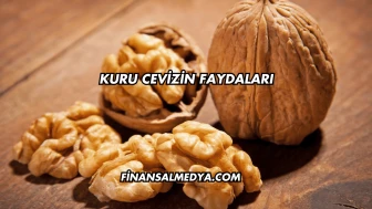 Kuru Cevizin Faydaları