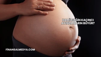 Hamileliğin Kaçıncı Ayında Karın Büyür?