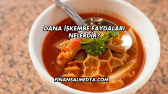 Dana İşkembe Faydaları