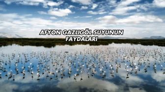 Afyon Gazlıgöl Suyunun Faydaları