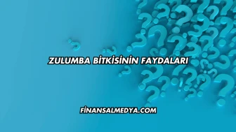 Zulumba Bitkisinin Faydaları