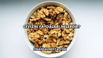 Cevizin Faydaları Nelerdir?