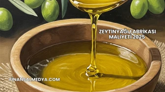 Zeytinyağı Fabrikası Maliyeti 2025