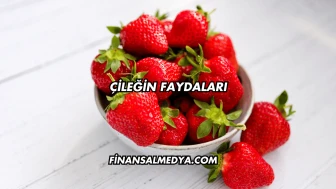 Çileğin Faydaları