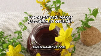 Kantaron Yağı Makat Çatlağına İyi Gelir mi?
