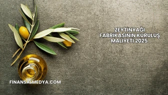 Zeytinyağı Fabrikasının Kuruluş Maliyeti 2025