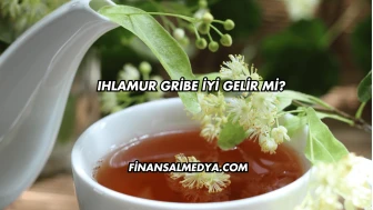 Ihlamur Gribe İyi Gelir mi?