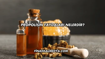 Propolisin Faydaları Nelerdir?