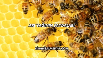 Arı Yağının Faydaları