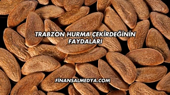 Trabzon Hurma Çekirdeğinin Faydaları