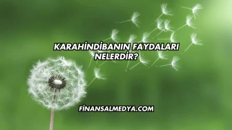 Karahindibanın Faydaları Nelerdir?