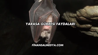 Yarasa Gübresi Faydaları