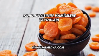 Kuru Kayısının Hamilelere Faydaları