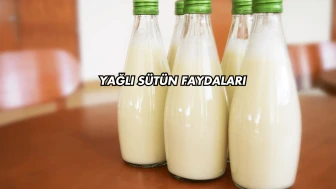 Yağlı Sütün Faydaları