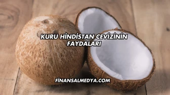 Kuru Hindistan Cevizinin Faydaları