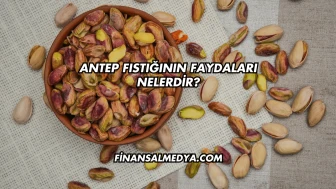 Antep Fıstığının Faydaları Nelerdir?