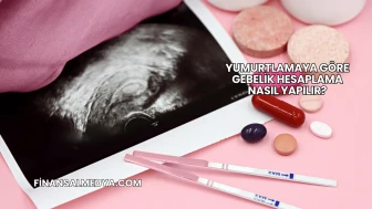 Yumurtlamaya Göre Gebelik Hesaplama Nasıl Yapılır?