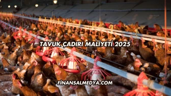 Tavuk Çadırı Maliyeti 2025