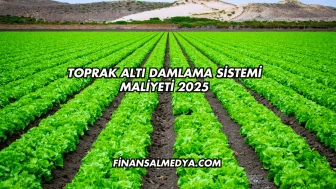 Toprak Altı Damlama Sistemi Maliyeti 2025