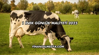 1 İnek Günlük Maliyeti 2025