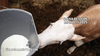 Dana Besleme Maliyeti 2025