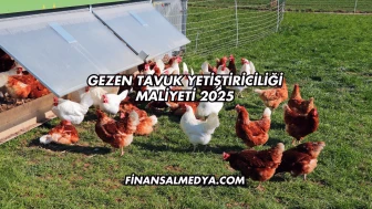 Gezen Tavuk Yetiştiriciliği Maliyeti 2025