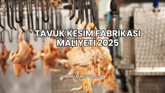 Tavuk Kesim Fabrikası Maliyeti 2025