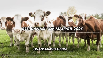Besi Danası Yem Maliyeti 2025