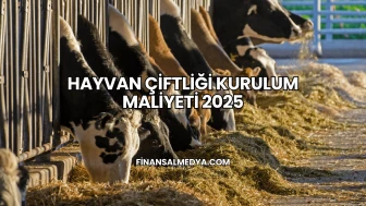Hayvan Çiftliği Kurulum Maliyeti 2025