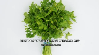 Maydanoz Yemek Kilo Verdirir mi?