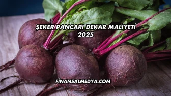 Şeker Pancarı Dekar Maliyeti 2025