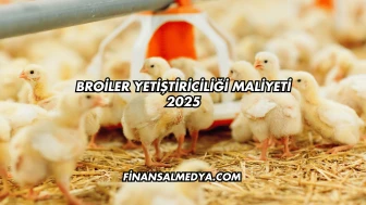 Broiler Yetiştiriciliği Maliyeti 2025
