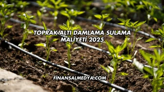 Toprak Altı Damlama Sulama Maliyeti 2025