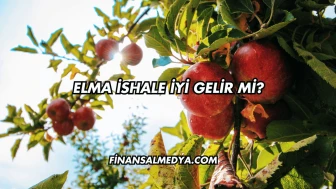 Elma İshale İyi Gelir mi?