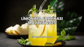 Limonata Fabrikası Maliyeti 2025