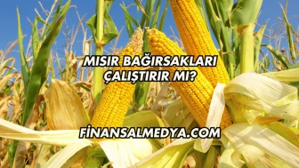 Mısır Bağırsakları Çalıştırır mı?
