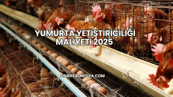 Yumurta Yetiştiriciliği Maliyeti 2025