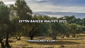 Zeytin Bahçesi Maliyeti 2025