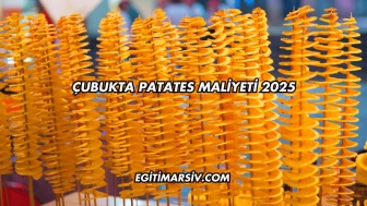 Çubukta Patates Maliyeti 2025